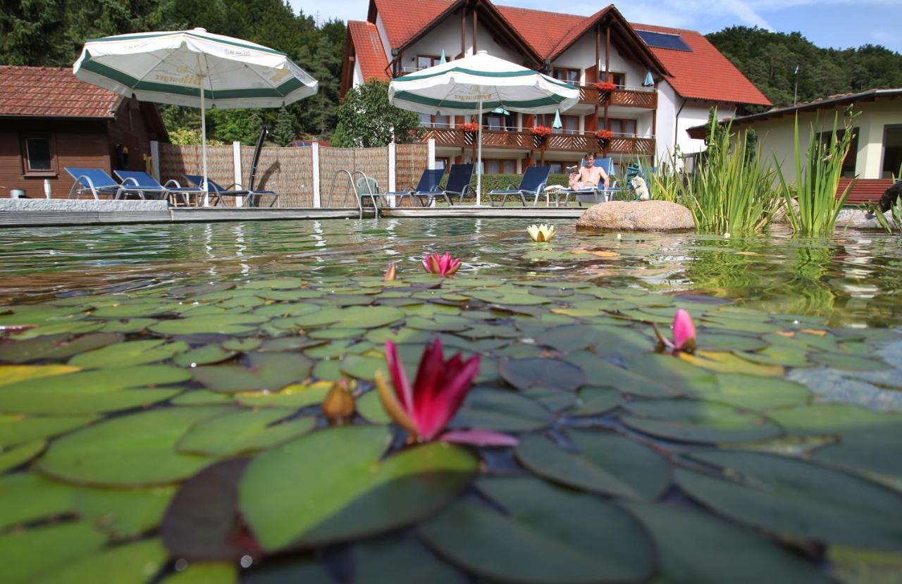 Hotel&Gasthof Zur Linde Kipfenberg Exterior foto